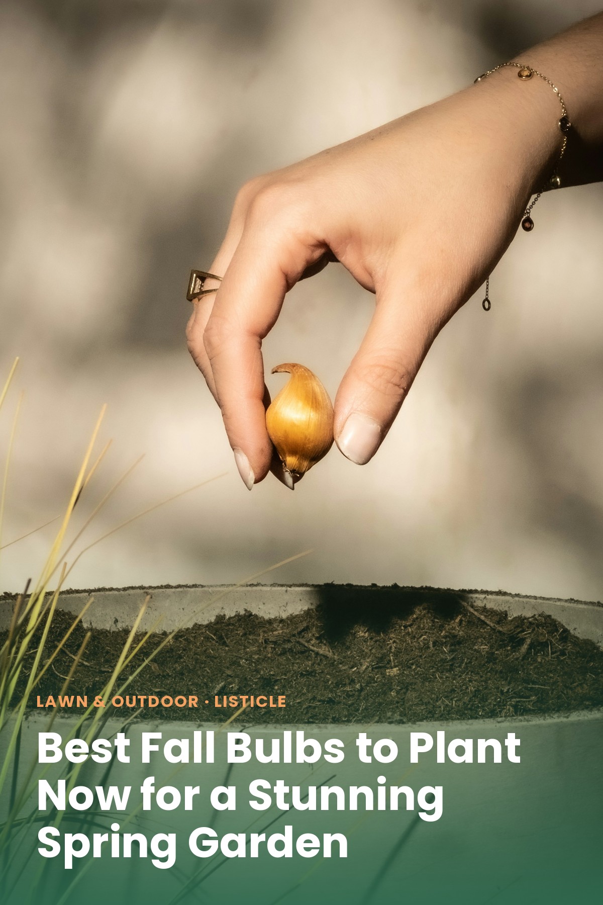 A gardener's hands planting spring bulbs in fall soil