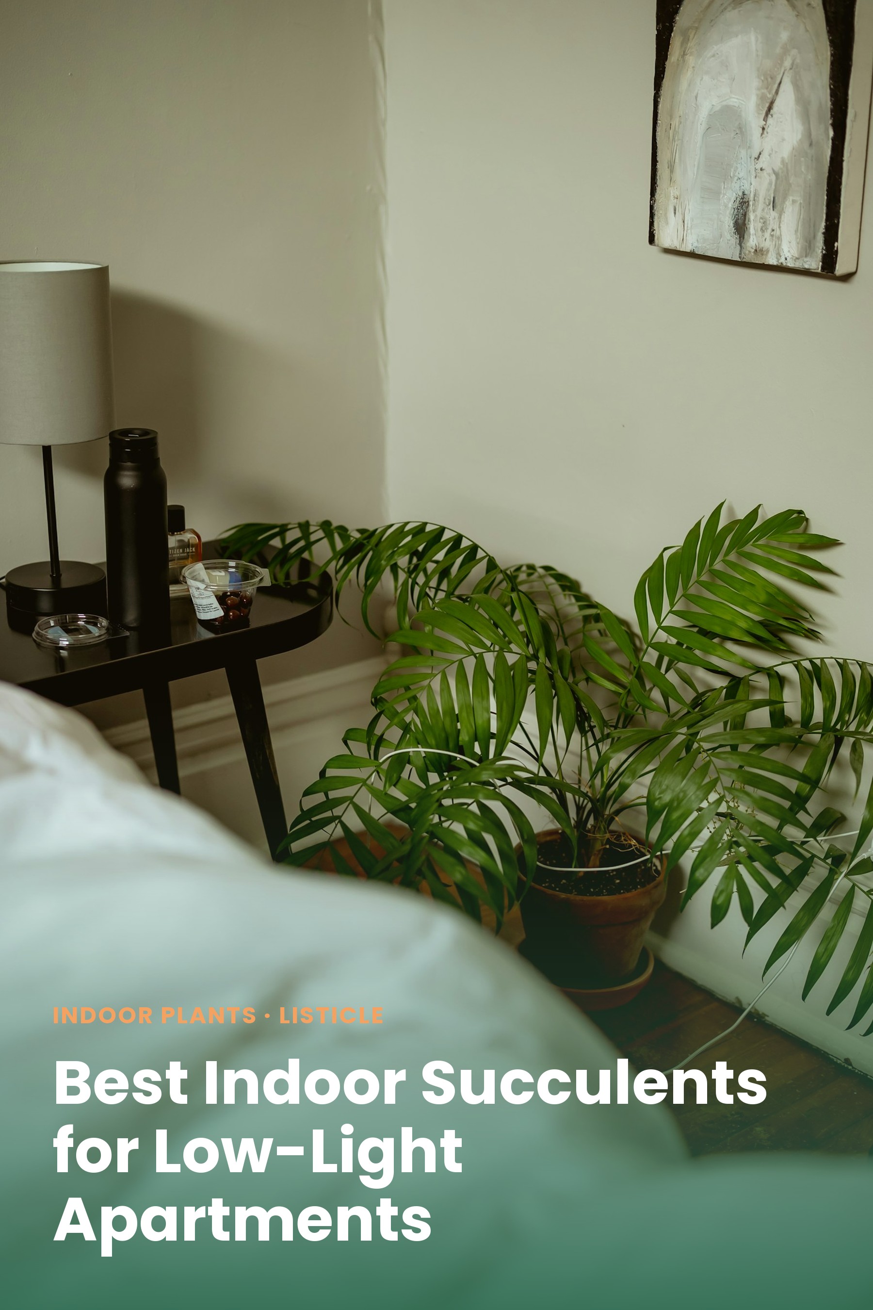 A leafy potted plant in a dim bedroom corner beside a nightstand lamp