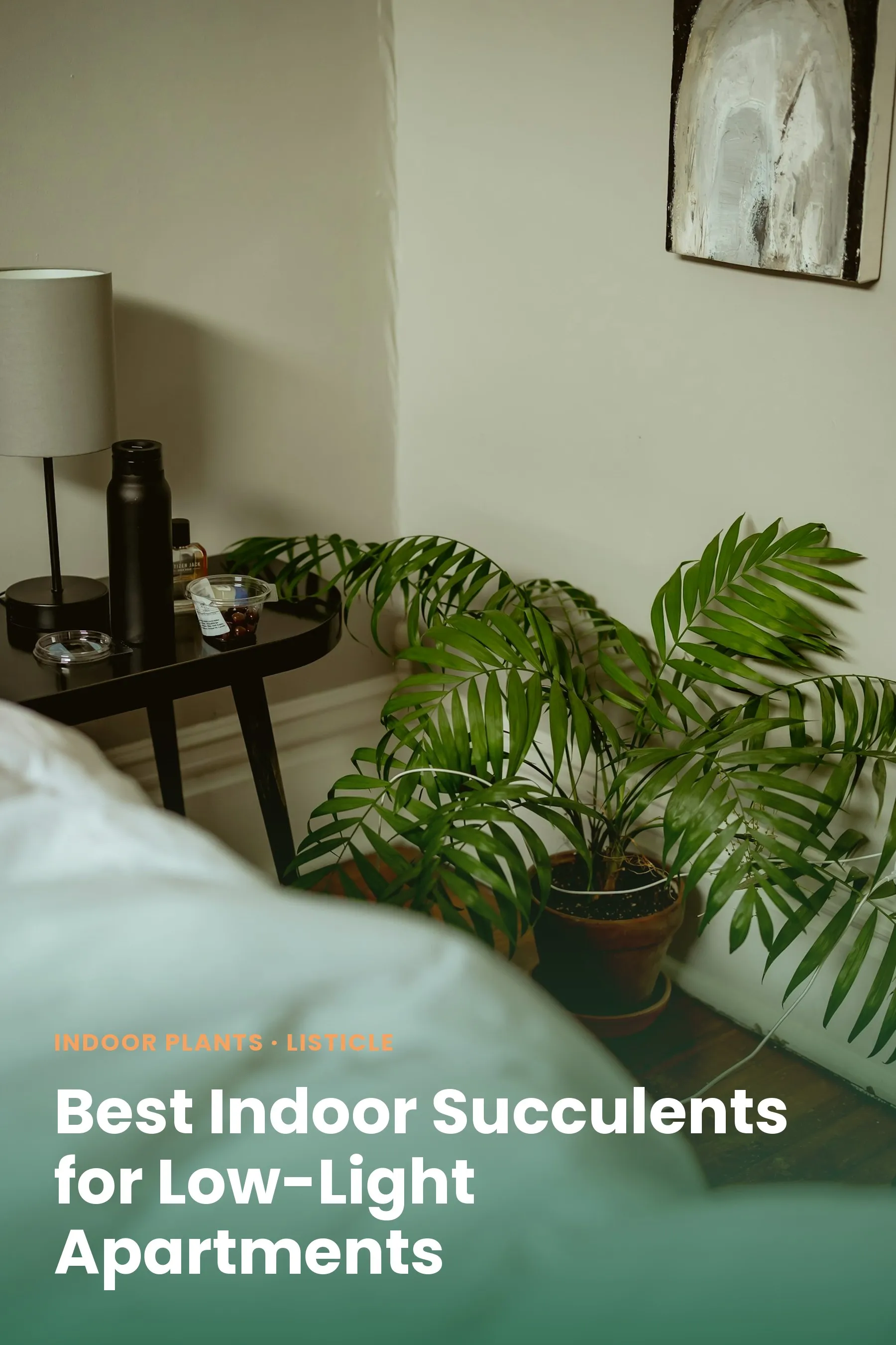 A leafy potted plant in a dim bedroom corner beside a nightstand lamp