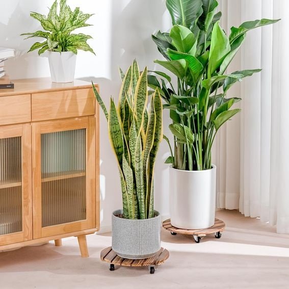 Wooden rolling plant caddy with wheels for moving heavy potted plants
