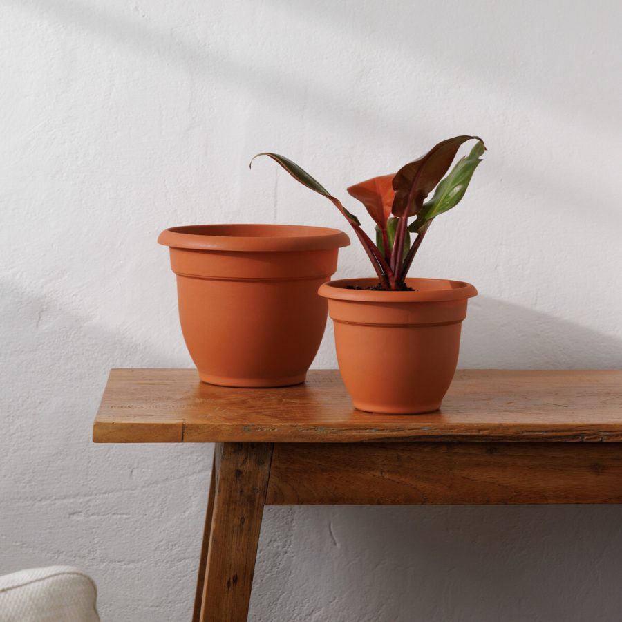 Bloem Ariana self-watering planter