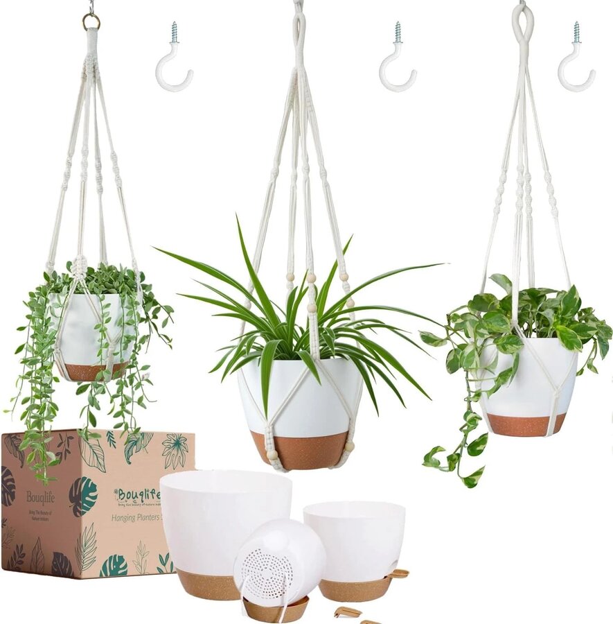 Bouqlife self-watering pots in macrame hangers of different lengths, hanging against a white wall