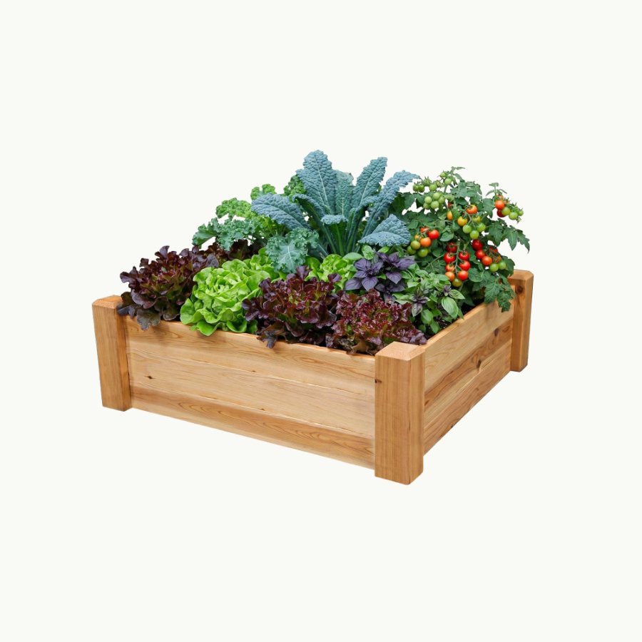 Gronomics solid cedar raised garden bed box with tall sides