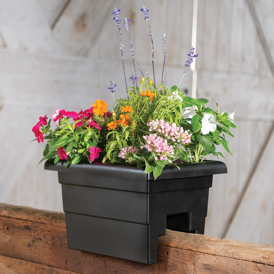 Black plastic railing planter box straddling a wood deck rail, filled with mixed flowers