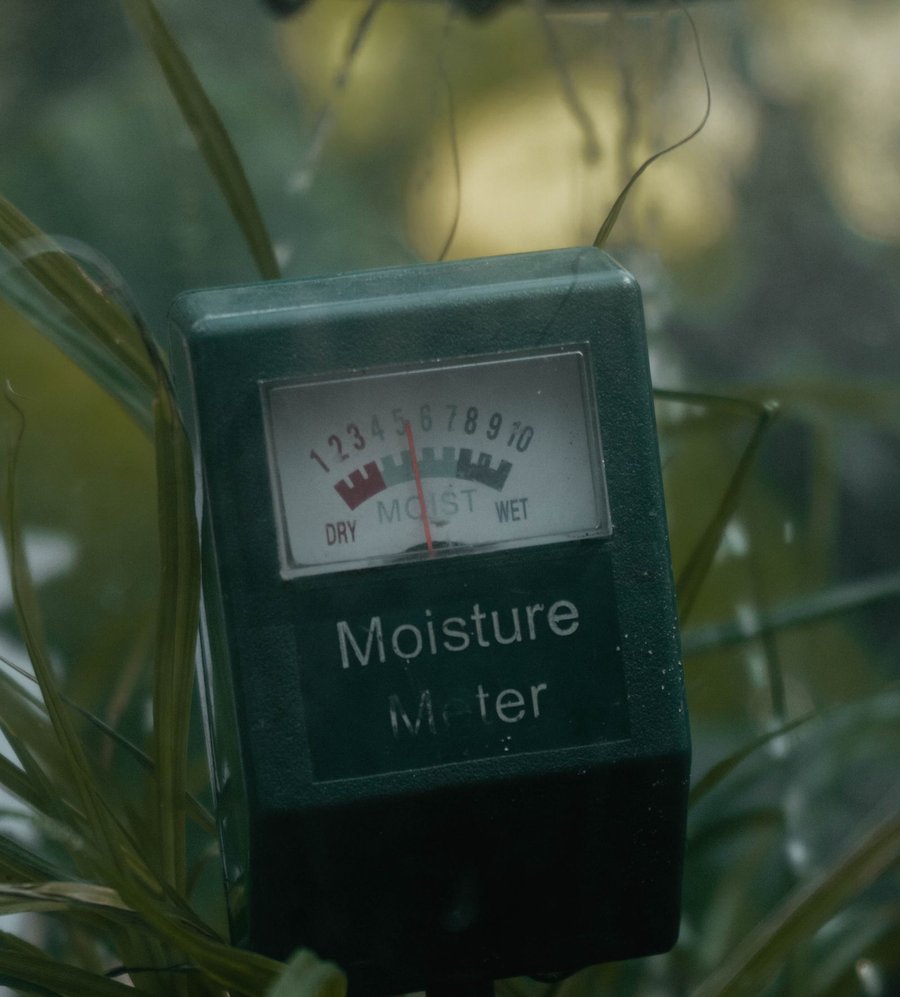 An analog soil moisture meter with a dry-to-wet dial in a planter among green leaves (stock photo, not the exact product)