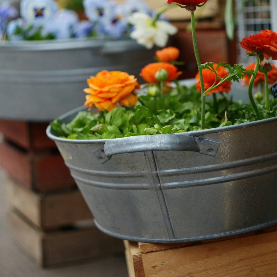 Galvanized metal bucket-style planters filled with flowers
